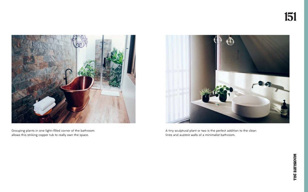 Plant House : Beautiful spaces inspired by nature