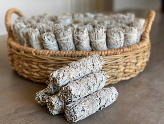 White Sage Smudge Sticks in Bulk