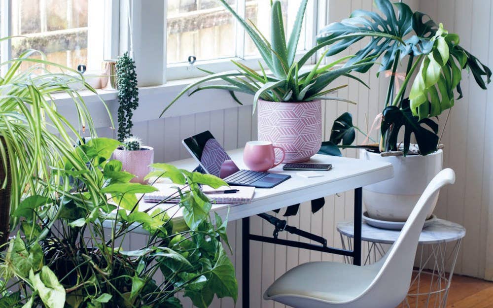 Plant House : Beautiful spaces inspired by nature