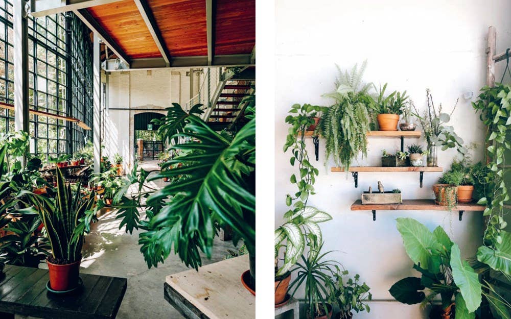 Plant House : Beautiful spaces inspired by nature